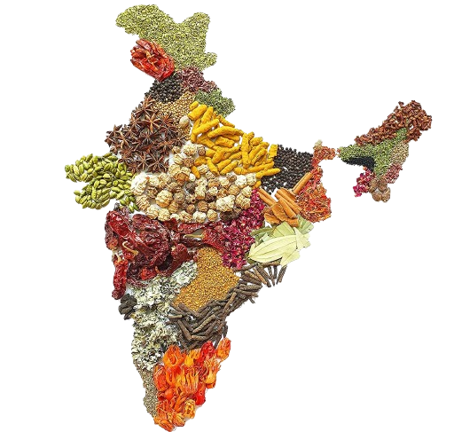 about-image1-removebg-preview